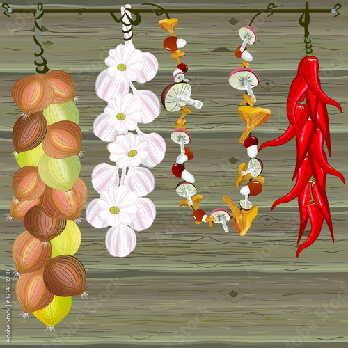 Dried bunch of mushrooms, garlic, onions and red pepper on a wooden wall background. Vector illustration