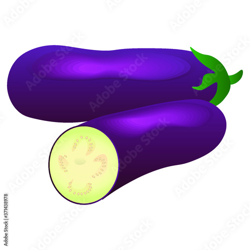 Fresh eggplant on a white background. Harvesting for the winter. Autumn harvest. Vector illustration