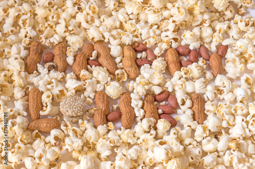 peanuts and sesame seeds chikki on occasion of Lohri festival of India photo