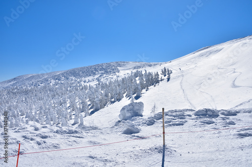 冬晴れの蔵王温泉スキー場と樹氷群
