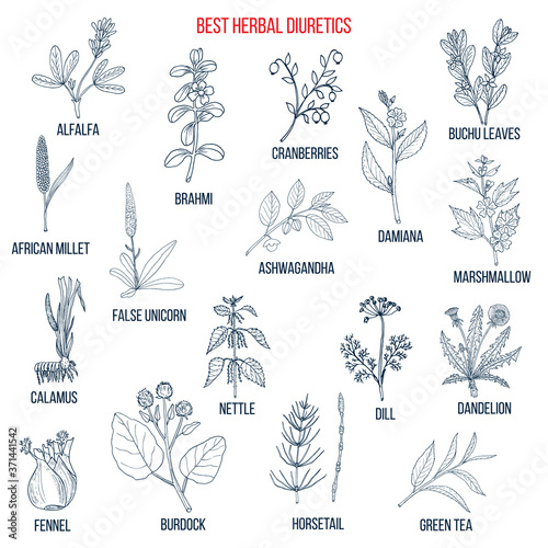 Best diuretic herbs set.