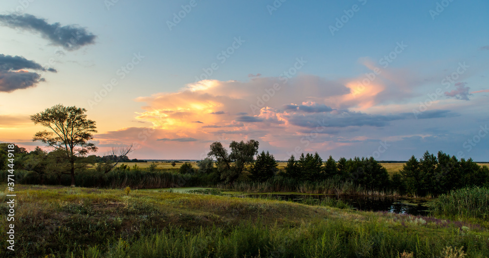 evening landscape with a small pond and reeds