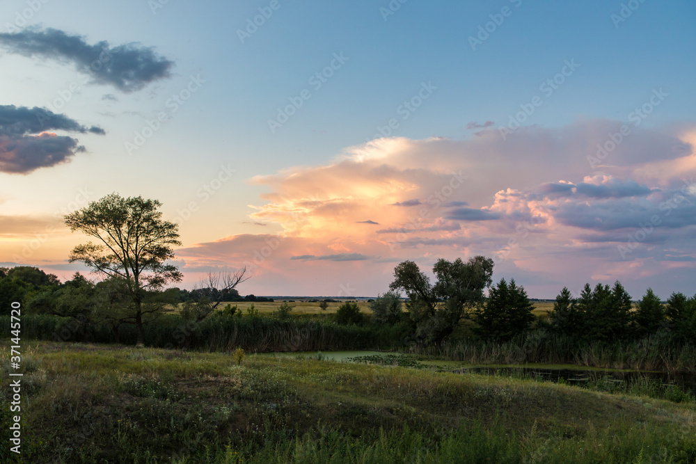 evening landscape with a small pond and reeds