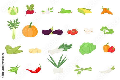 vegetables icons set in cartoon style