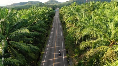 Travel. Aerial view people traveling on bike on road in tropical nature. Bike riding on roadway along green palm trees in Thailand
