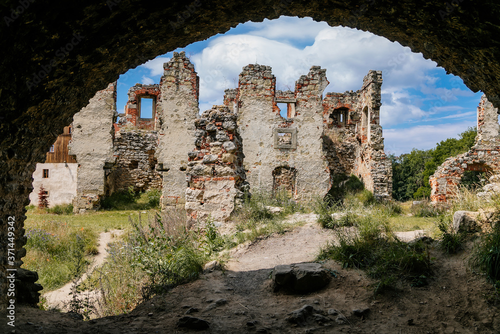Ruins of gothic fortress and renaissance castle Zviretice, Bakov nad Jizerou, Central Bohemian Region, Czech Republic