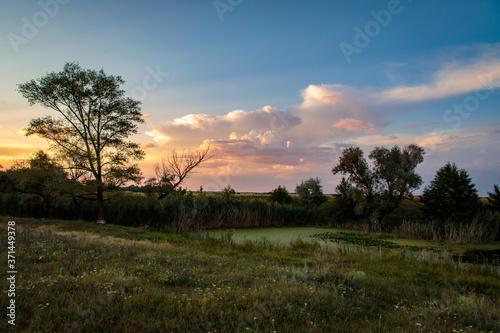 evening landscape with a small pond and reeds © toomler