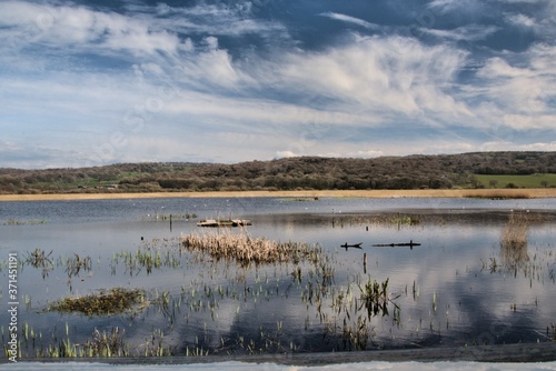 A view of Leighton Moss Nature Reserve