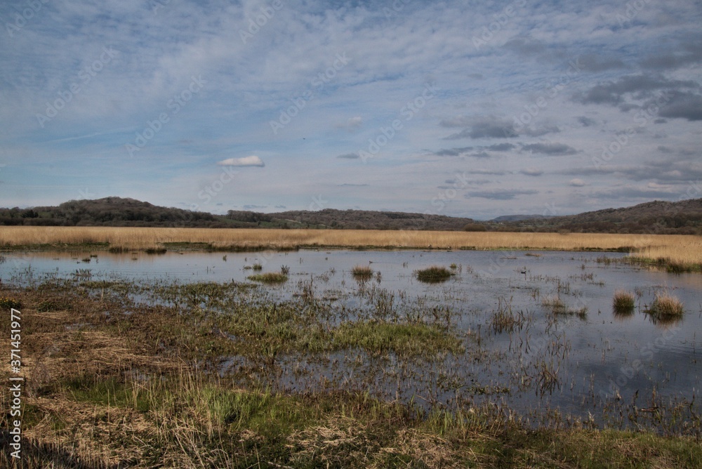 A view of Leighton Moss Nature Reserve