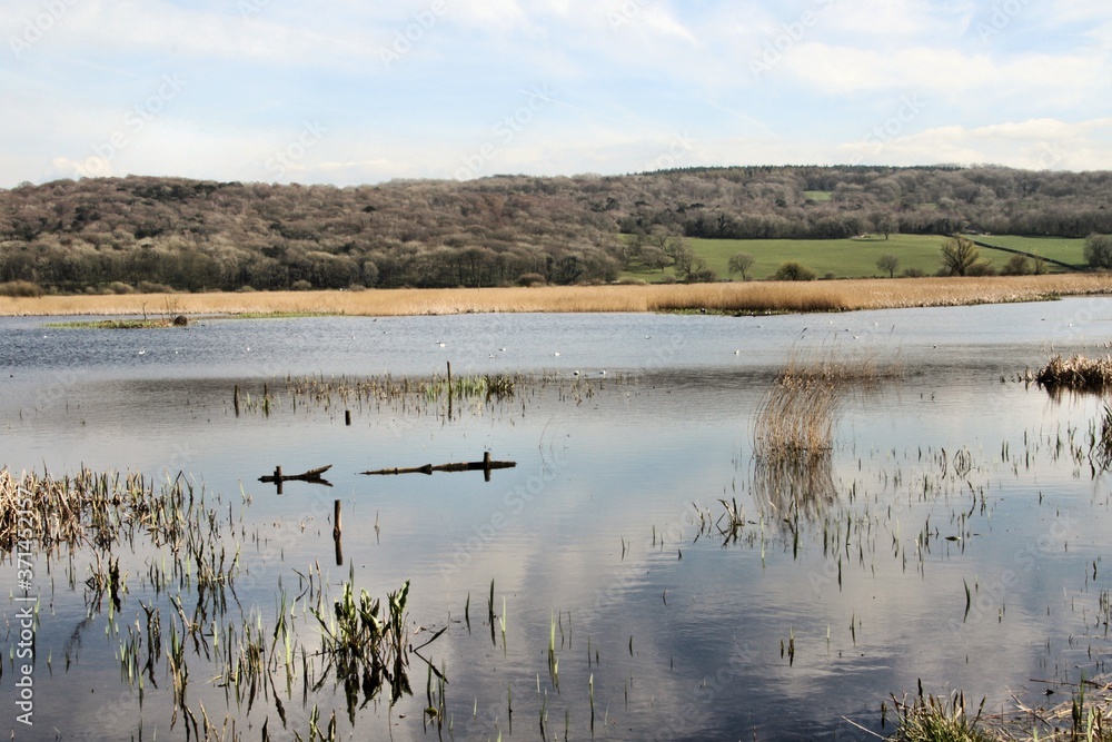 A view of Leighton Moss Nature Reserve A view of Leighton Moss Nature Reserve