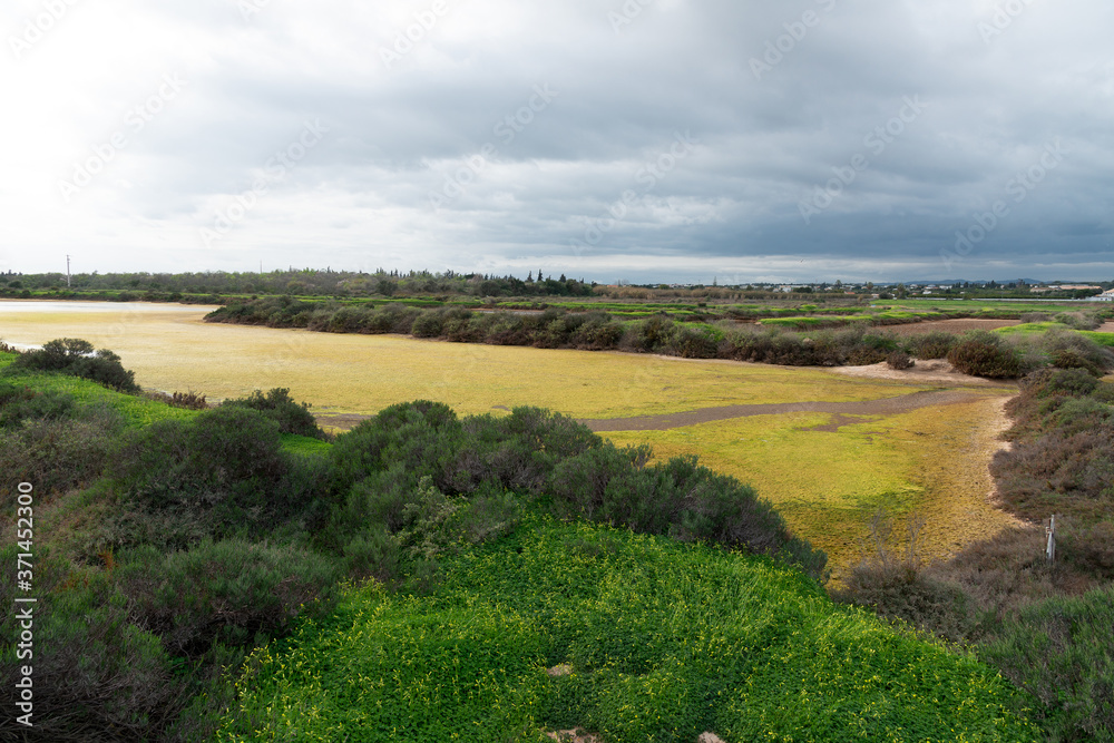 Panoramic view of a Tavira salt pan in the Algarve, Portugal