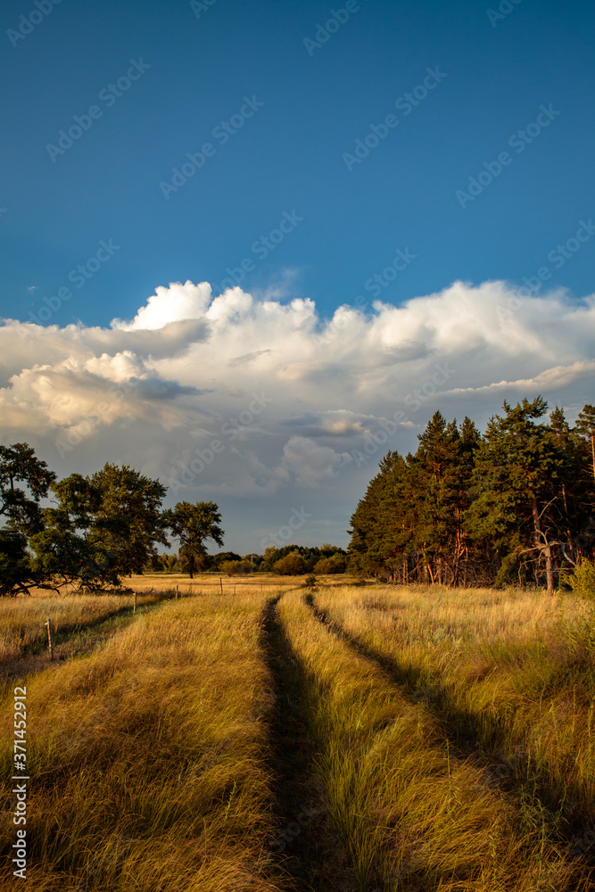 evening steppe landscape with blue sky and clouds