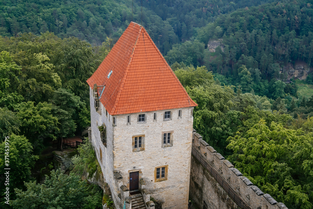 The medieval castle Kokorin with stone tower on a high hill in the green forest, Kokorin, Czech Republic