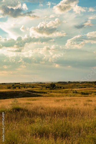 evening steppe landscape with blue sky and clouds © toomler