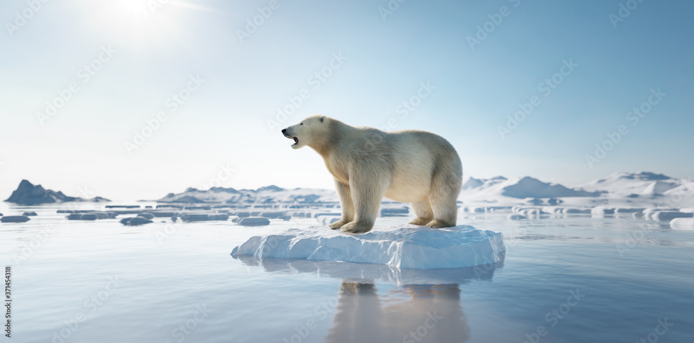 Ice Floe Photos for Sale 