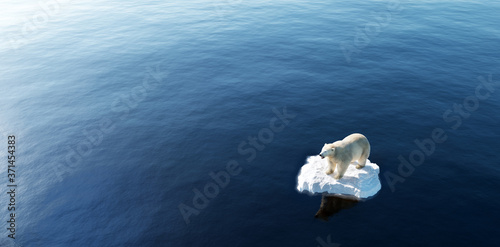 Canvas-taulu Polar bear on ice floe. Melting iceberg and global warming.