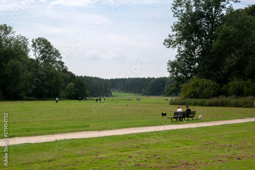 Grassfield And Bench At The Amsterdamse Bos At Amstelveen The Netherlands 19-7-2020