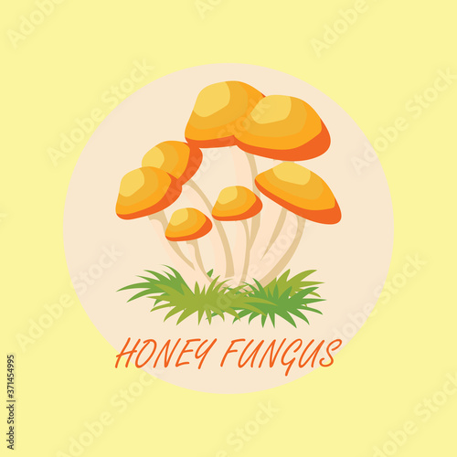 edible honey fungus mushrooms banner. vector illustration