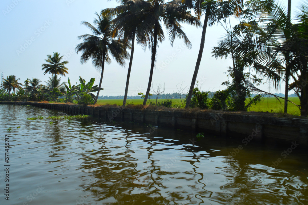 Obraz premium Beautiful scenery of backwaters 