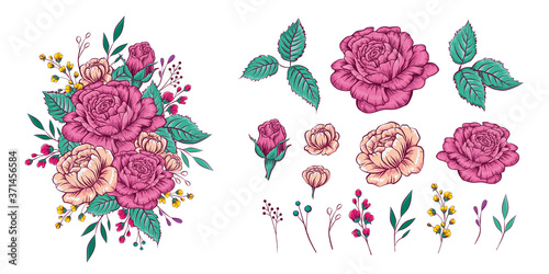 Set of flower branches. Pink roses, green leaves, delicate flowers and delicate decorations. Details for  floral poster or wedding invitation in vector hand drawn cartoon style.