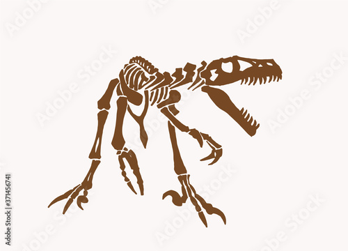 Vintage illustration of tyrannosaurus skeleton,vector