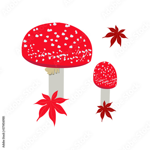 Set with muhamors and maple leaves on a white isolated background.
