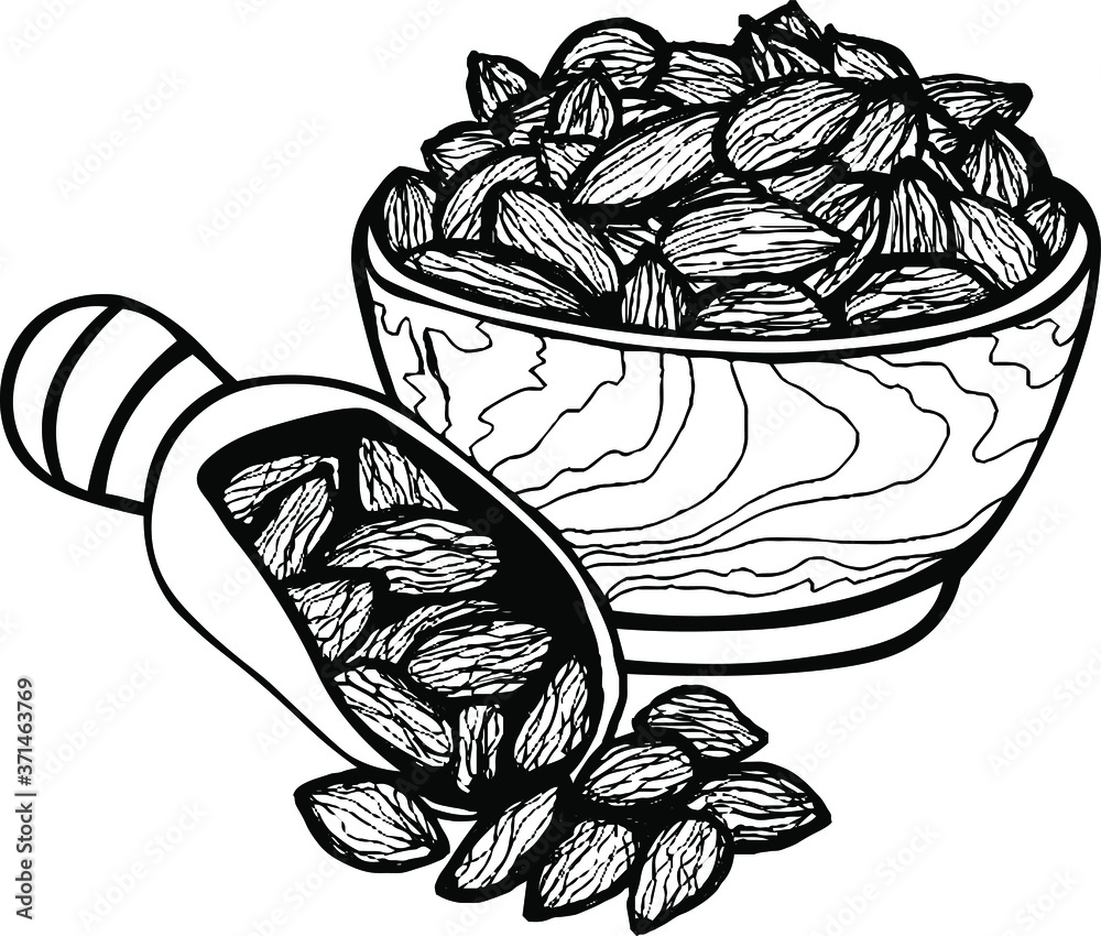 hand drawn sketch doodle vector illustration cardamon doodle almond or cardamon nuts in the bowl dish with the shovel black and white