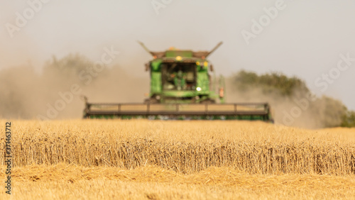 Combine Harvester Picking Crops in a Field.  Selective Focus on the Crops in Foreground. © Ian
