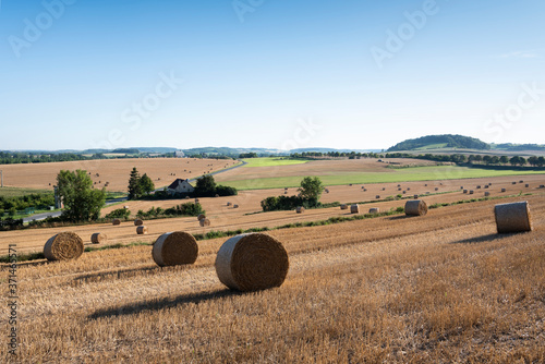 landscape with cornfields and meadows in regional parc de caps et marais d'opale in the north of france photo