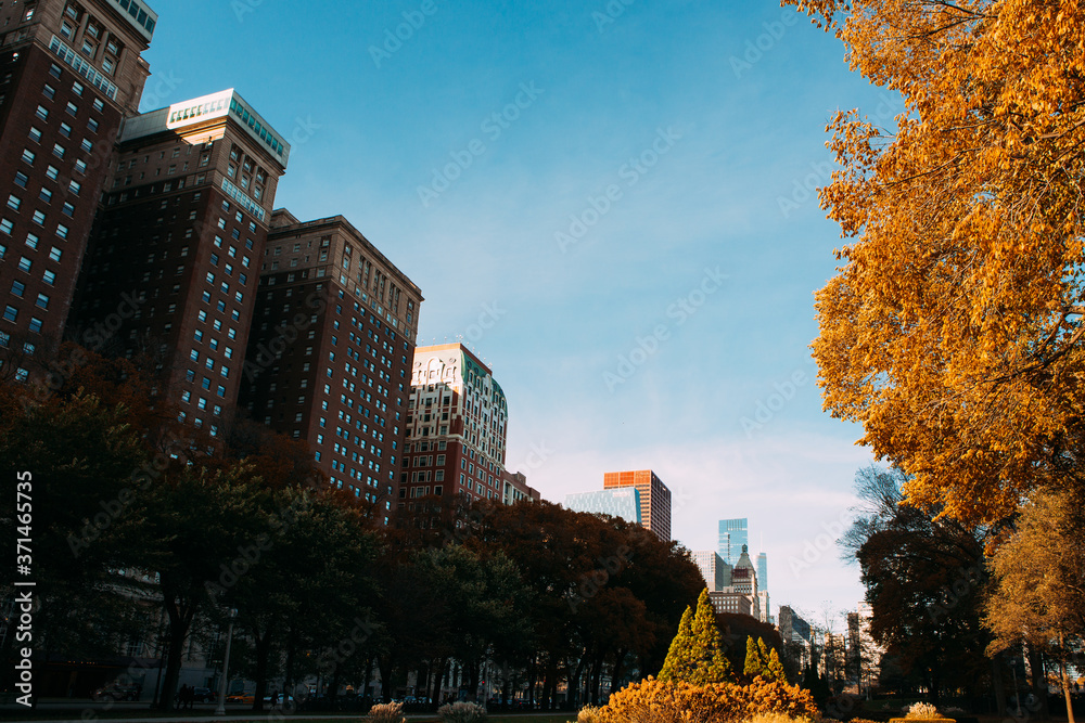 Obraz premium Fall Colors of the Trees in Millennium Park and Historic Architecture of Downtown Chicago City