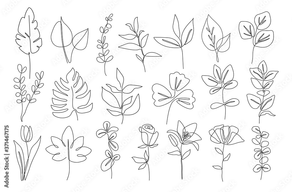 One line continuous of plant set, single line drawing art, tropical