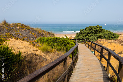 Wooden walkway that gives access to La Barrosa beach in Sancti Petri  Cadiz