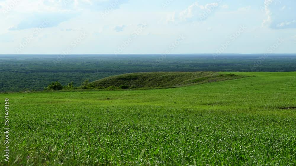 Picturesque landscape. The green field on a high hill in the sun. White clouds floating on the horizon Picturesque landscape. The green field on a high hill in the sun. White clouds floating on the horizon