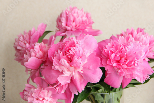 pink peony flower