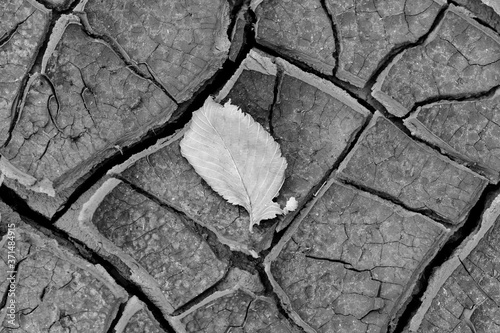  background dry land problems with ecology drought black and white 