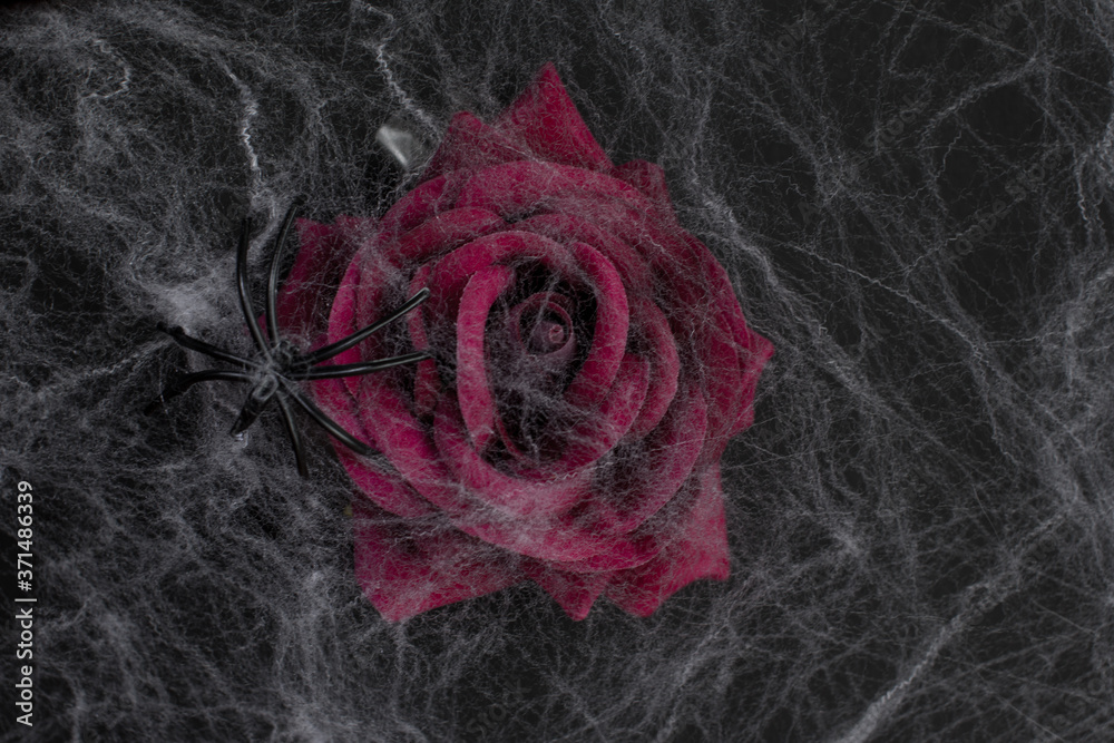 21 Best Gothic Rose Images Stock Photos Vectors Adobe Stock