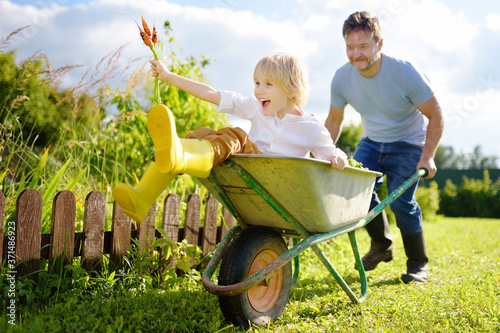 Obraz na płótnie Happy little boy having fun in a wheelbarrow pushing by dad in domestic garden on warm sunny day