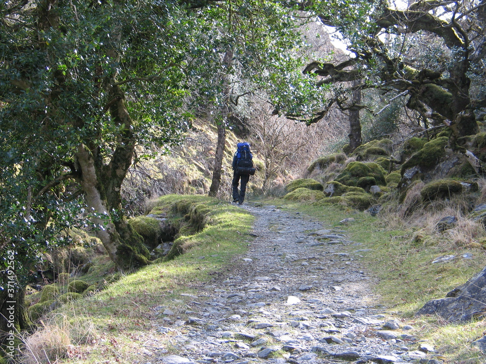 Rucksack Wanderer in Irland. Reisen in Zeiten von Corona. Steiniger Weg. Trekking und Zelten