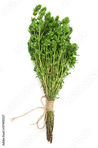 bunch of thyme twigs isolated on white background