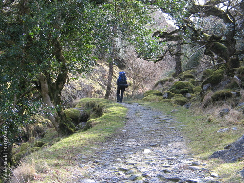 Rucksack Wanderer in Irland. Reisen in Zeiten von Corona. Steiniger Weg. Trekking und Zelten