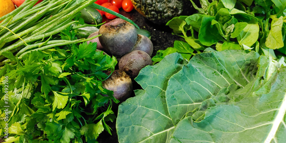Fototapeta premium A small variety of vegetables fresh from the organic fair.