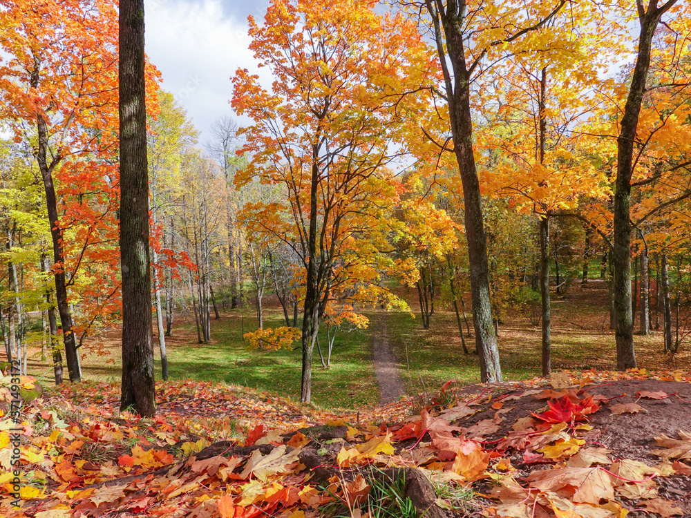 Autumn landscape in the Park. Leaves of trees in bright colors of autumn.