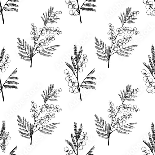 Seamless pattern with  hand drawn Mimosa. Monochrome flower background. Suitable for packaging, Wallpaper, fabric