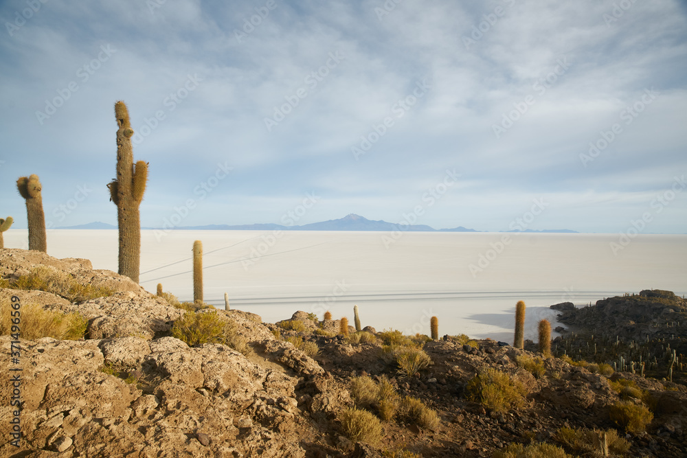 Captus and the Uyuni salar desert. South of Bolivia.