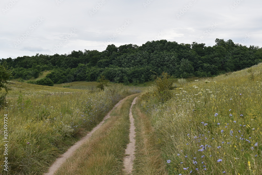 Fototapeta premium trail