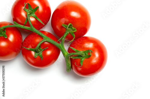 tomatoes isolated on white background © Nicole Cook