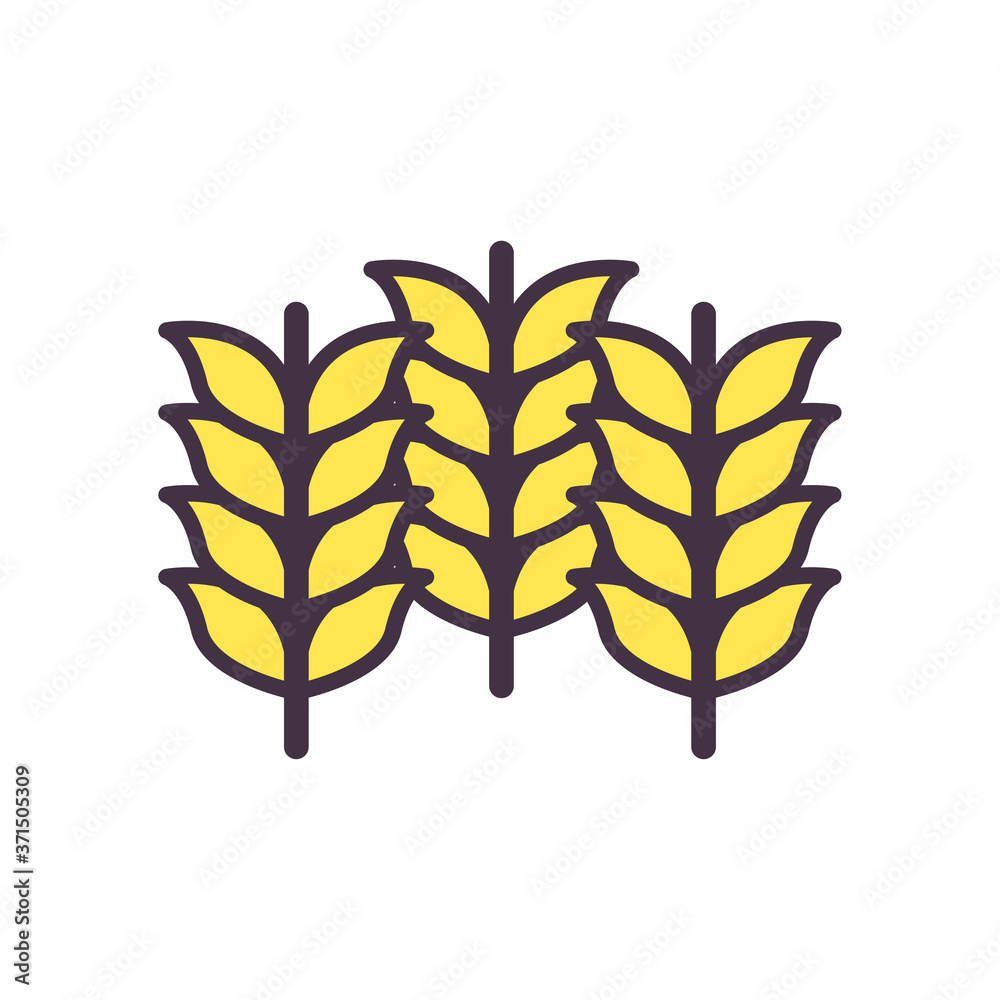 wheat ears line and fill style icon vector design wheat ears line and fill style icon vector design