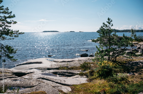 Pine trees and a view of lake Ladoga on the island of Koyonsaari in Karelia, Russia in summer on a Sunny day