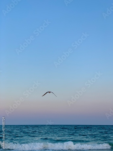 sunset with beautiful blue sky on the beach