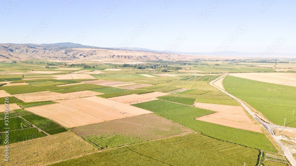 Aerial view of the green agriculture field. Corn field. They are at the growth stages. There is a pathway in the middle of field. Mountains can be seen. Aerial view of the green agriculture field. Corn field. They are at the growth stages. There is a pathway in the middle of field. Mountains can be seen.